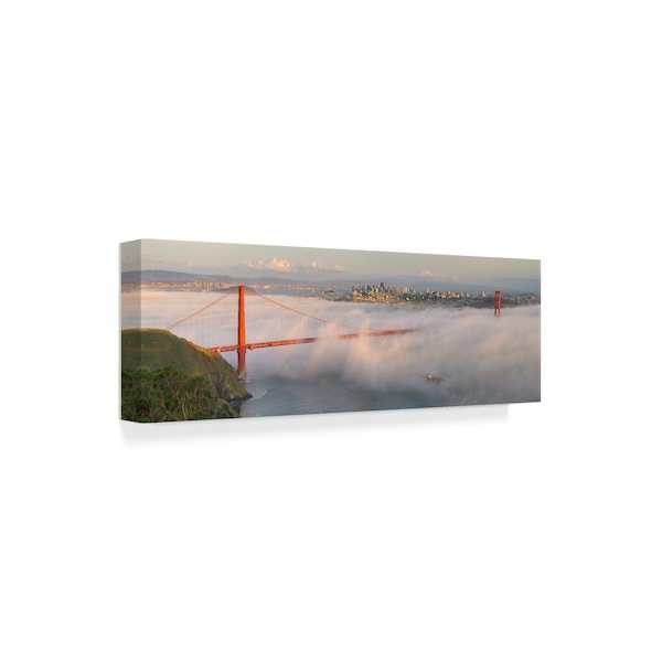 David Scarbrough 'Engulfed' Canvas Art,10x32